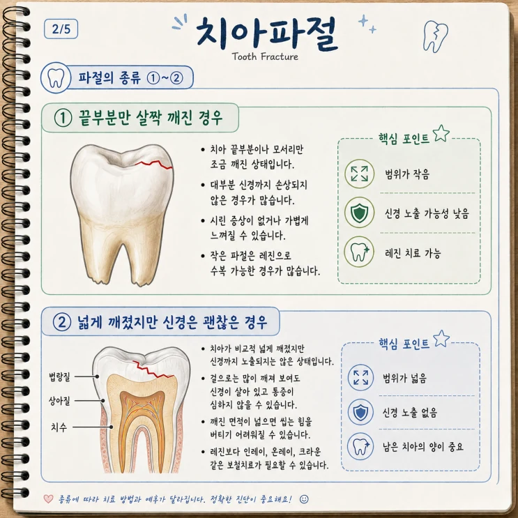 크라운 치료 후 치아 보호 설명 이미지