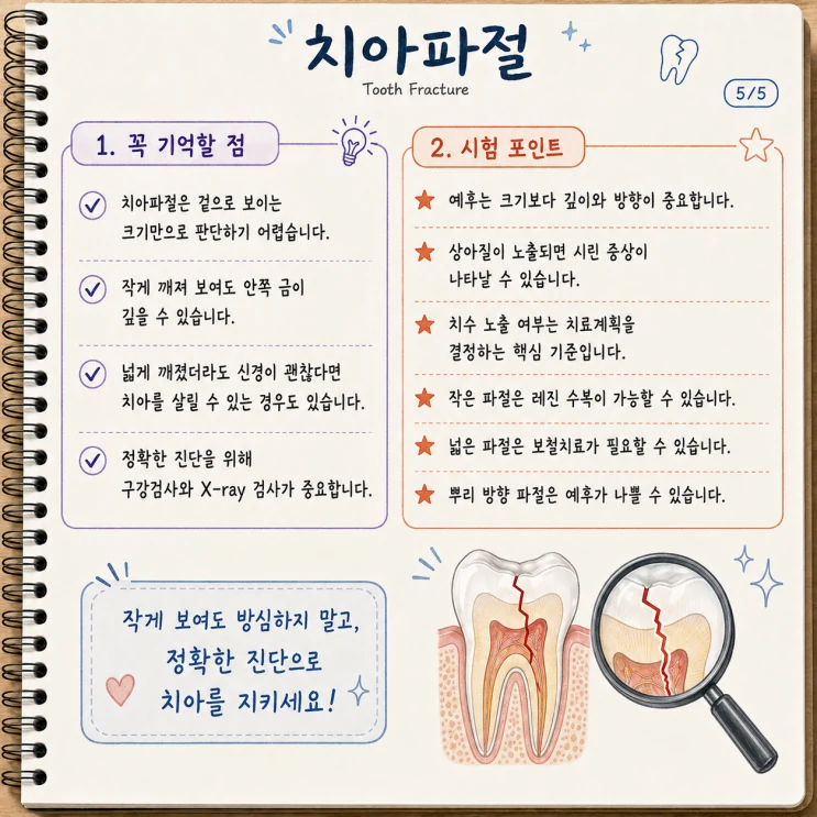 크라운치료 후 관리 설명 이미지